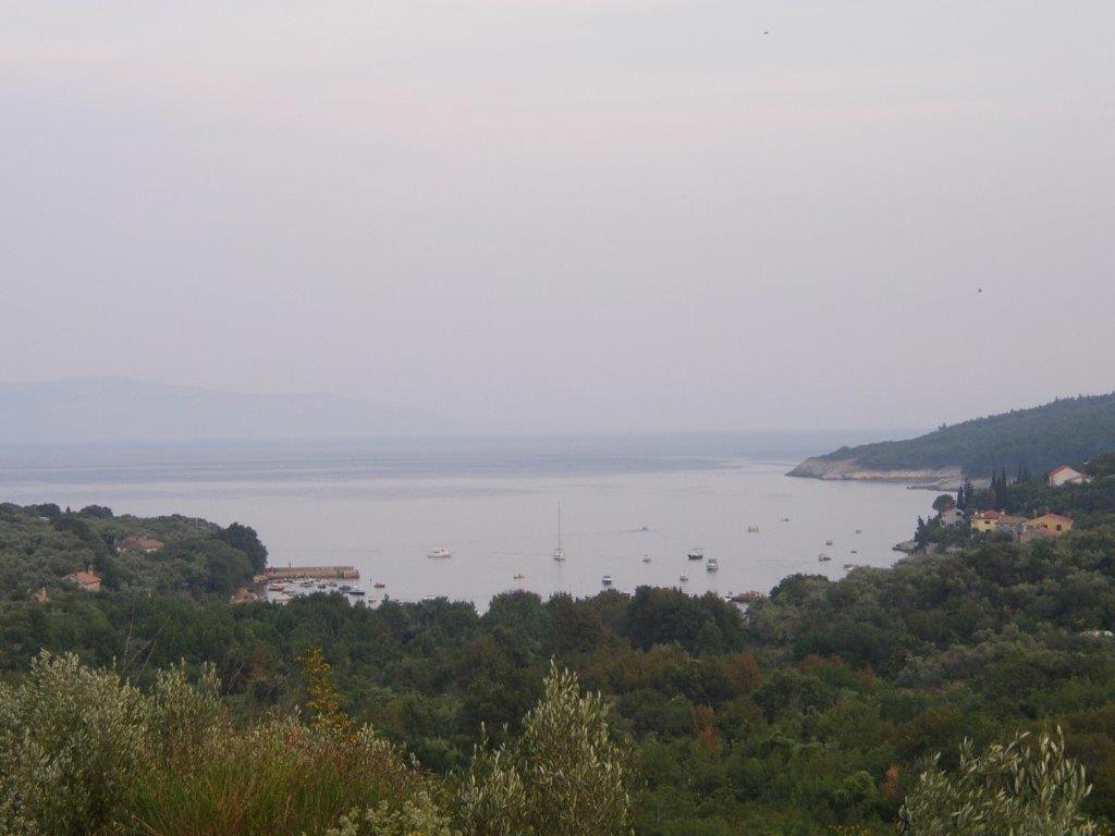 Marina 11